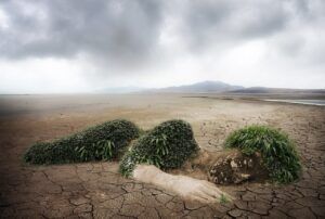Naturaleza en desierto